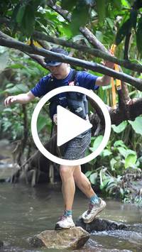 BIB:  <button type="button" onclick="openModal(27824557)" class="btn btn-primary btn-sm float-right" data-toggle="modal" data-target=".modal-high-quality">
                <i class="fa fa-download"></i> Download
                </button>